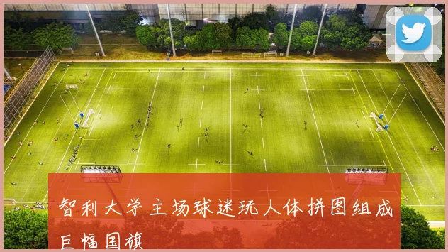 智利大学主场球迷玩人体拼图组成巨幅国旗