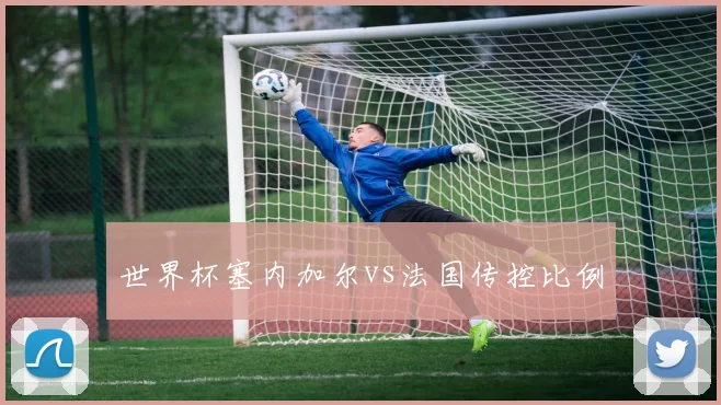 世界杯塞内加尔vs法国传控比例