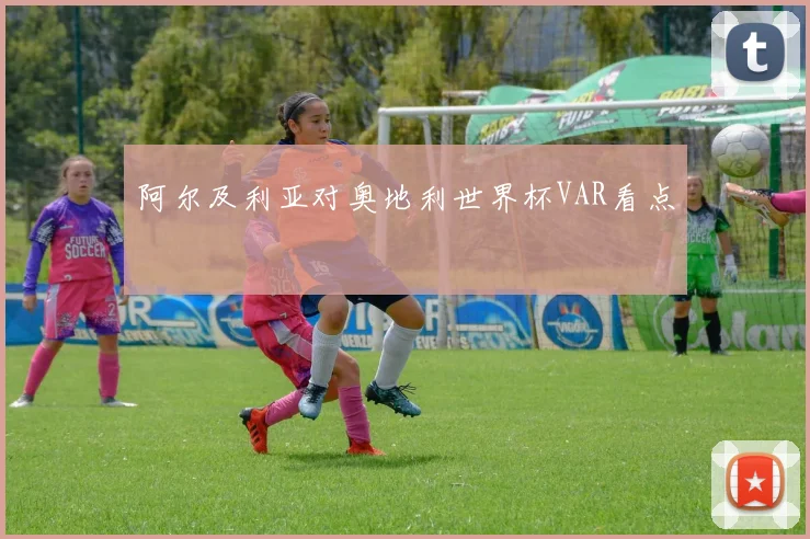 阿尔及利亚对奥地利世界杯VAR看点