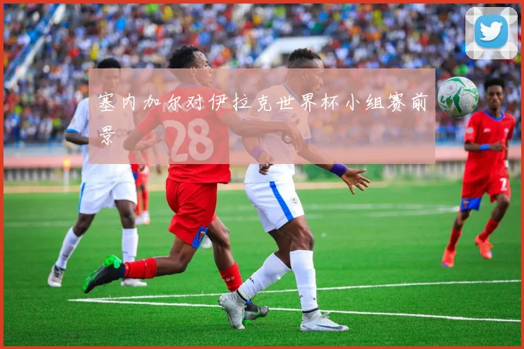 塞内加尔对伊拉克世界杯小组赛前景