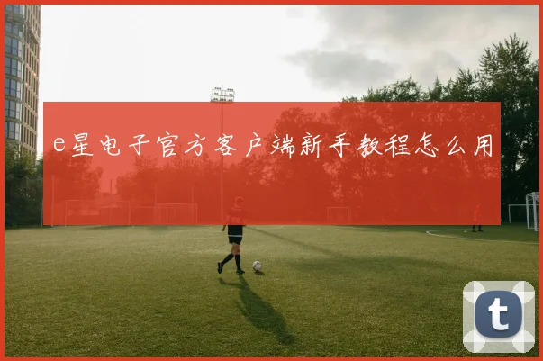 e星电子官方客户端新手教程怎么用