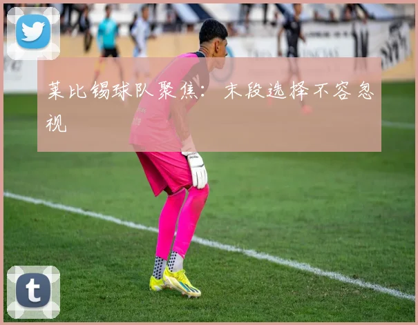 莱比锡球队聚焦：末段选择不容忽视