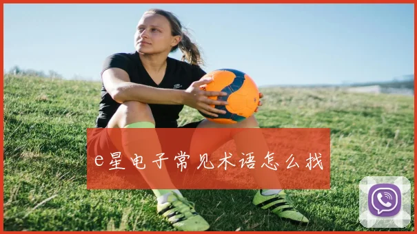 e星电子常见术语怎么找